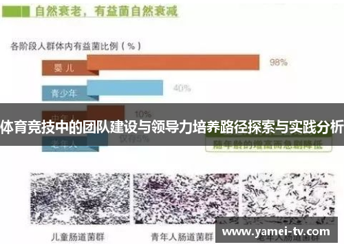 体育竞技中的团队建设与领导力培养路径探索与实践分析